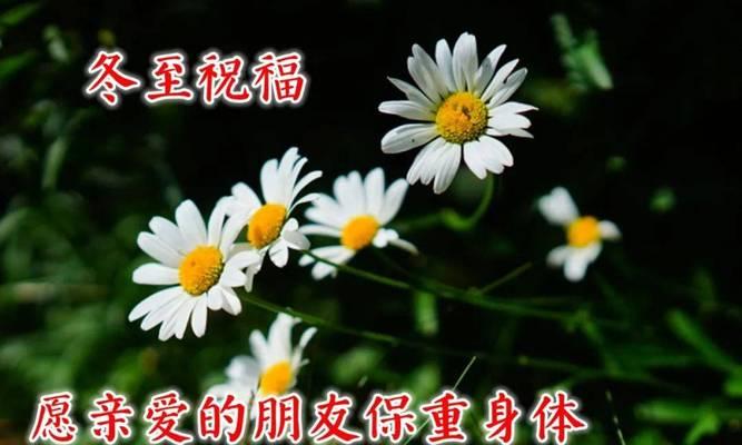 冬至的阳光与温暖（冬至的阳光与温暖）