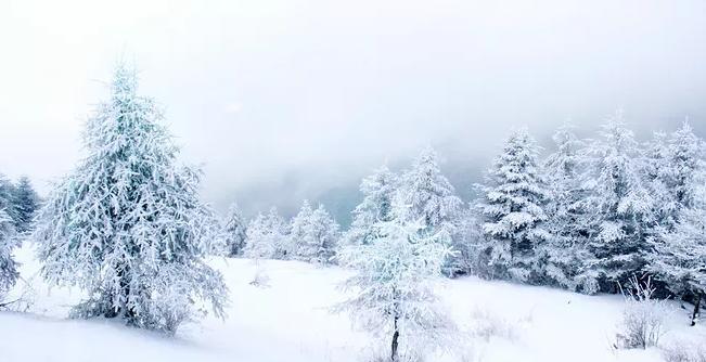 冬日的温暖心情——雪花飘洒中的美丽与喜悦（领略冬日雪景）