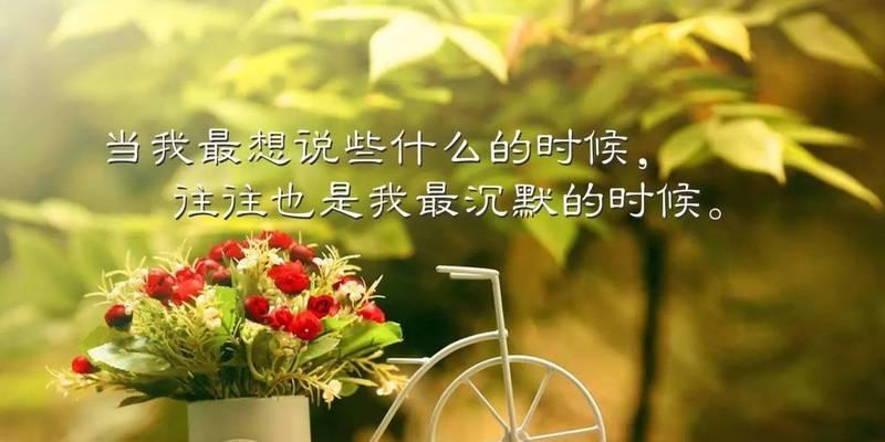 《与你相遇》——美好人生的印记