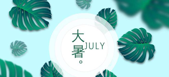 细观夏日美景，感受大自然的魅力（细观夏日美景）