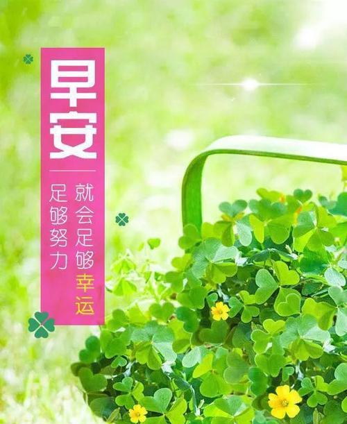 用心呈现一份清晨的美好，点亮生活的灯火（用心呈现一份清晨的美好）