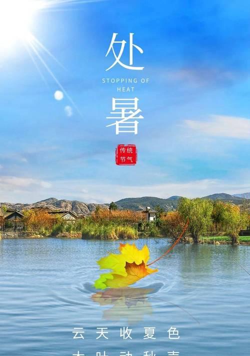 《处暑的美丽》