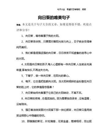 菜品佳肴，唯美短句（用文字品尝美食的乐趣）