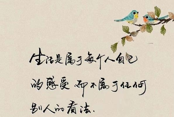 梦境之中（唯美句子与心灵的奇妙邂逅）