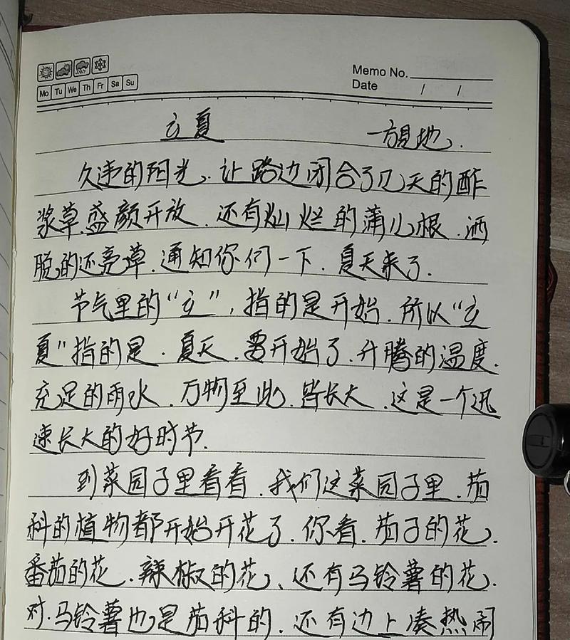 关于澄江的作文怎么写（《立夏节的欢声笑语》）