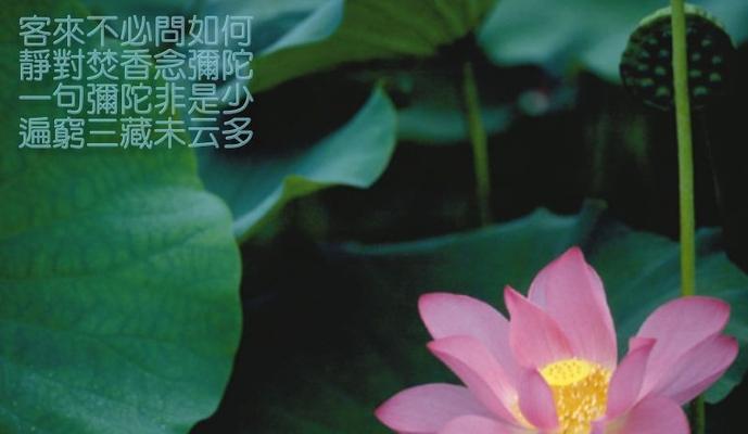 善良之人必有福报
