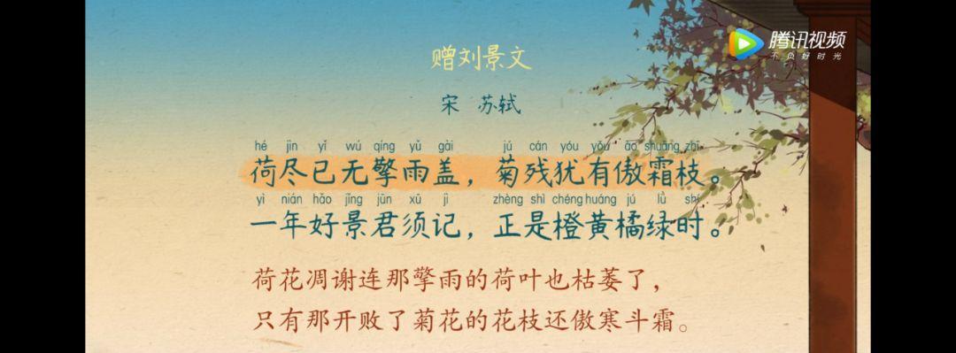 雪中梦境（雪中梦境）
