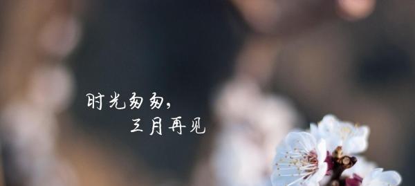告别过去，迎接未来（心灵的蜕变）