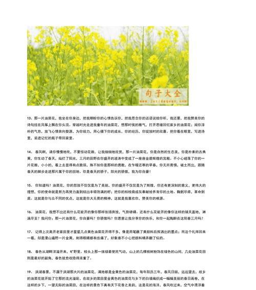 以奉献为美（用心呈现）