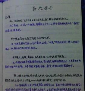 如梦似幻，离人间五尺（《骆驼祥子》第九章好句赏析）