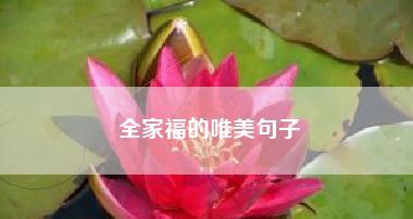 《时光荏苒，一晃即老》——一个关于流年的故事