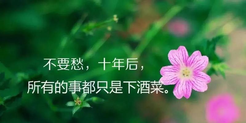等待的美丽与期待的温暖（等待的美丽与期待的温暖）