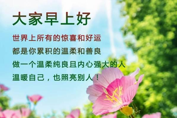 自立自强——唯美短句的力量
