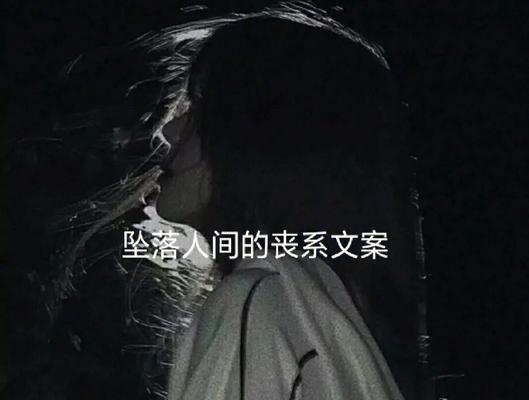 青春，何处觅得（流年轻疯）