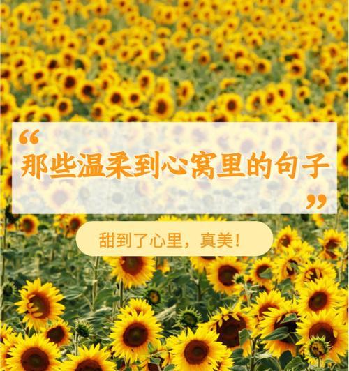 温暖至极的爱情（唯美的短句）