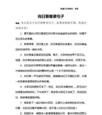 夏天的唯美短句——蝉鸣声中的炙热