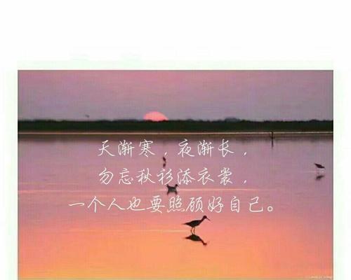 温柔至极：美好生活的灵魂
