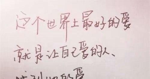 爱意绵绵（以句子之美）